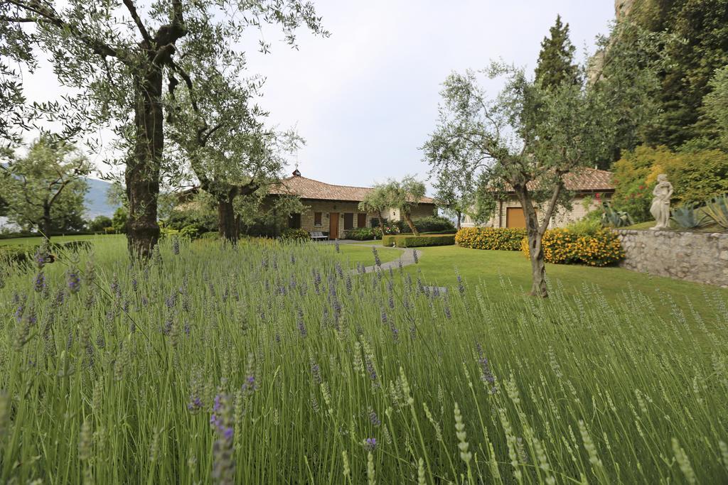 Bed and Breakfast Torre Degli Ulivi Tignale Zewnętrze zdjęcie